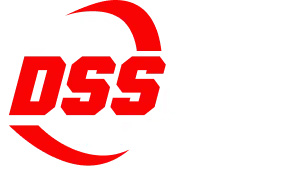 DSS Group